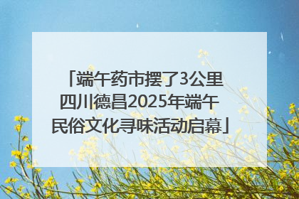 端午药市摆了3公里 四川德昌2025年端午民俗文化寻味活动启幕