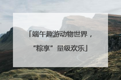 端午趣游动物世界，“粽享”量级欢乐