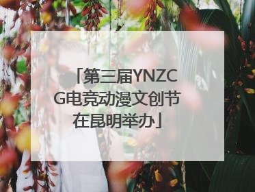 第三届YNZCG电竞动漫文创节在昆明举办