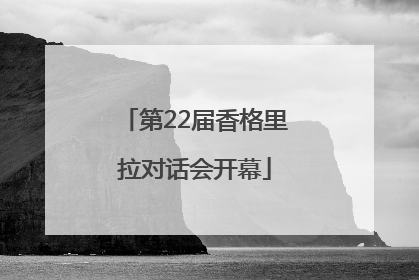 第22届香格里拉对话会开幕