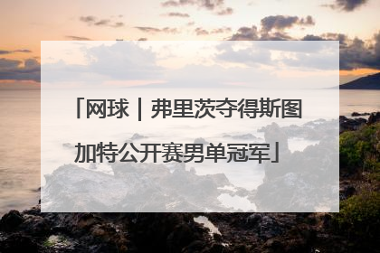 网球｜弗里茨夺得斯图加特公开赛男单冠军
