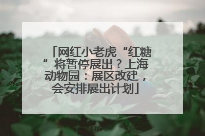 网红小老虎“红糖”将暂停展出？上海动物园：展区改建，会安排展出计划