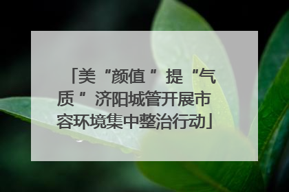 美“颜值 ”提“气质 ”济阳城管开展市容环境集中整治行动
