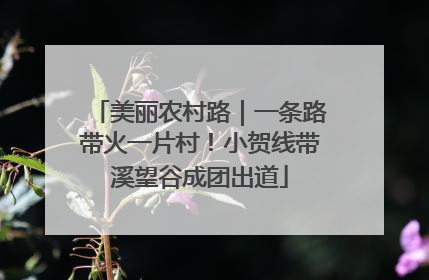 美丽农村路｜一条路带火一片村！小贺线带溪望谷成团出道
