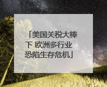 美国关税大棒下 欧洲多行业恐陷生存危机