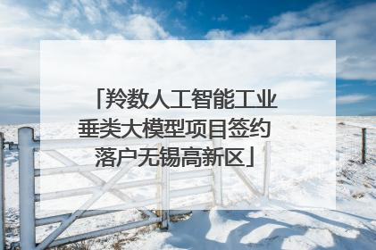 羚数人工智能工业垂类大模型项目签约落户无锡高新区