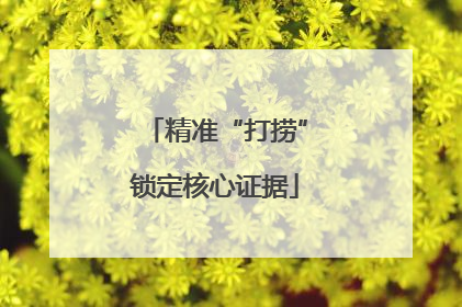 精准“打捞”锁定核心证据