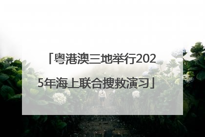 粤港澳三地举行2025年海上联合搜救演习