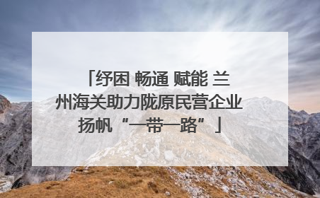 纾困 畅通 赋能 兰州海关助力陇原民营企业扬帆“一带一路”