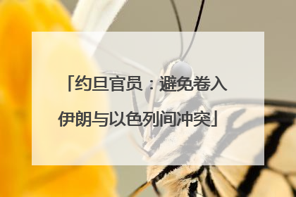 约旦官员：避免卷入伊朗与以色列间冲突