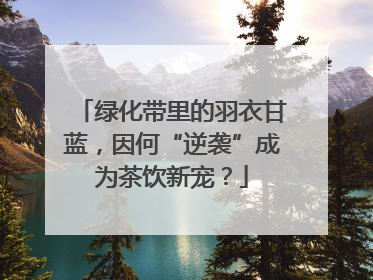 绿化带里的羽衣甘蓝，因何“逆袭”成为茶饮新宠？