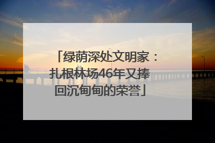 绿荫深处文明家：扎根林场46年又捧回沉甸甸的荣誉