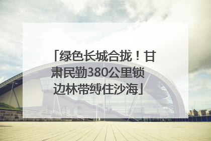 绿色长城合拢！甘肃民勤380公里锁边林带缚住沙海