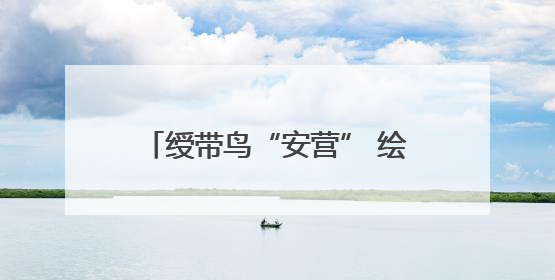 绶带鸟“安营” 绘就生态增收新景致