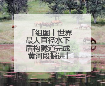 组图丨世界最大直径水下盾构隧道完成黄河段掘进