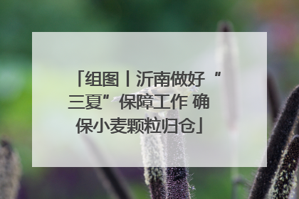 组图丨沂南做好“三夏”保障工作 确保小麦颗粒归仓