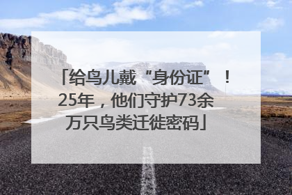 给鸟儿戴“身份证”！25年，他们守护73余万只鸟类迁徙密码