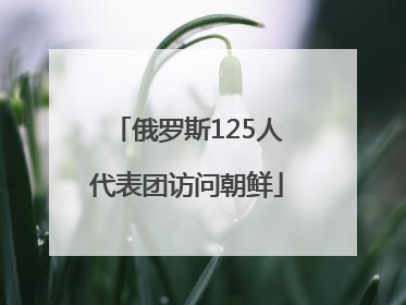 俄罗斯125人代表团访问朝鲜