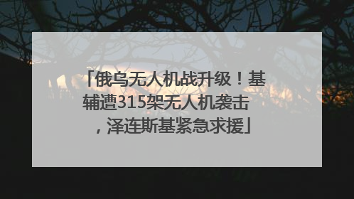俄乌无人机战升级！基辅遭315架无人机袭击，泽连斯基紧急求援