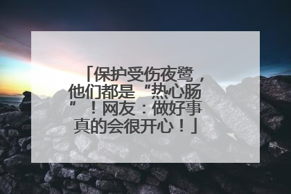 保护受伤夜鹭，他们都是“热心肠”！网友：做好事真的会很开心！