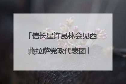 信长星许昆林会见西藏拉萨党政代表团