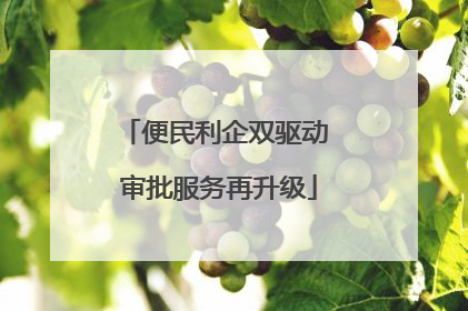 便民利企双驱动 审批服务再升级