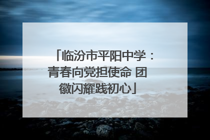 临汾市平阳中学：青春向党担使命 团徽闪耀践初心