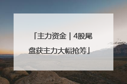 主力资金｜4股尾盘获主力大幅抢筹