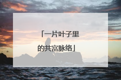 一片叶子里的共富脉络