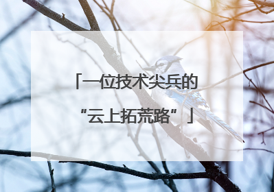 一位技术尖兵的“云上拓荒路”