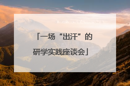 一场“出汗”的研学实践座谈会
