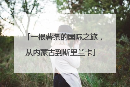 一根薯条的国际之旅，从内蒙古到斯里兰卡