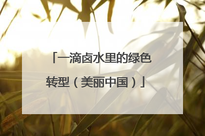 一滴卤水里的绿色转型（美丽中国）