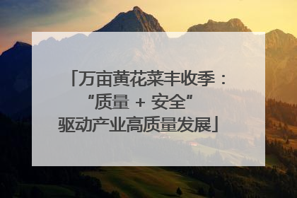 万亩黄花菜丰收季：“质量 + 安全” 驱动产业高质量发展