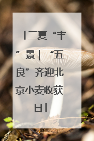 三夏“丰”景｜“五良”齐迎北京小麦收获日