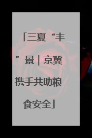 三夏“丰”景｜京冀携手共助粮食安全