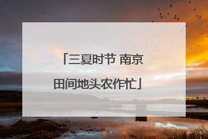 三夏时节 南京田间地头农作忙
