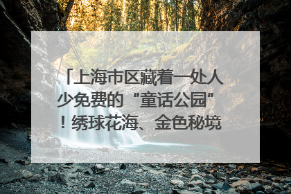上海市区藏着一处人少免费的“童话公园”！绣球花海、金色秘境……地铁直达→