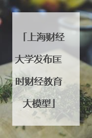 上海财经大学发布匡时财经教育大模型