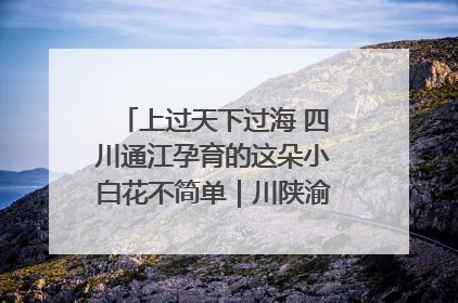 上过天下过海 四川通江孕育的这朵小白花不简单｜川陕渝网络名人巴中行
