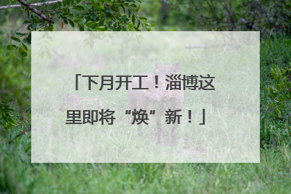 下月开工！淄博这里即将“焕”新！