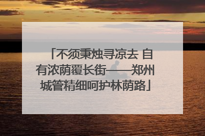 不须秉烛寻凉去 自有浓荫覆长街——郑州城管精细呵护林荫路