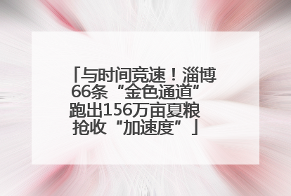 与时间竞速！淄博66条“金色通道”跑出156万亩夏粮抢收“加速度”