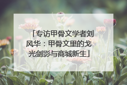 专访甲骨文学者刘风华：甲骨文里的戈光剑影与商城新生