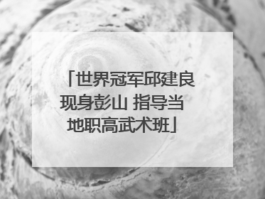 世界冠军邱建良现身彭山 指导当地职高武术班