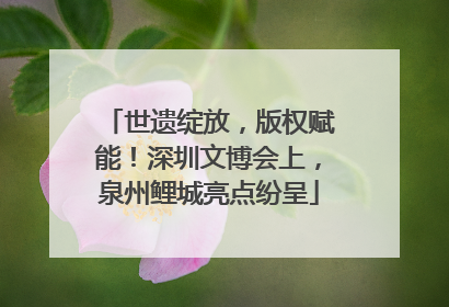 世遗绽放，版权赋能！深圳文博会上，泉州鲤城亮点纷呈