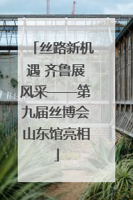 丝路新机遇 齐鲁展风采——第九届丝博会山东馆亮相