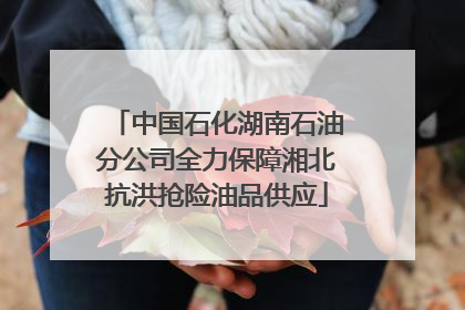中国石化湖南石油分公司全力保障湘北抗洪抢险油品供应