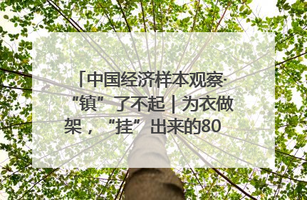 中国经济样本观察·“镇”了不起｜为衣做架，“挂”出来的80亿元“衣架产业”