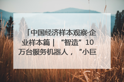 中国经济样本观察·企业样本篇｜“智造”10万台服务机器人，“小巨人”擎朗有大梦想
